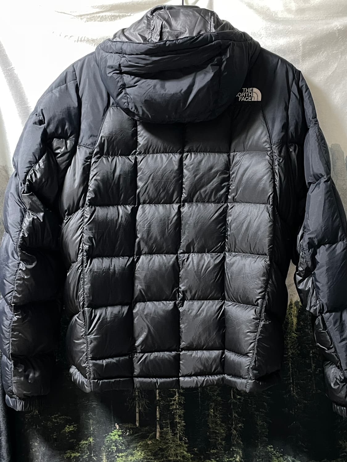 M) 노스페이스 써밋 구스다운 블랙 패딩 상품이미지3