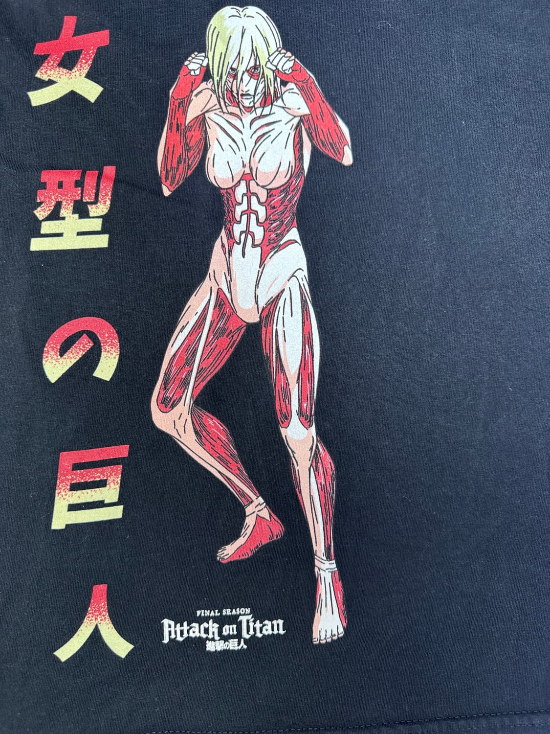빈티지 진격의거인 파이널 여성형거인 ATTACK ON TITAN L 상품이미지2
