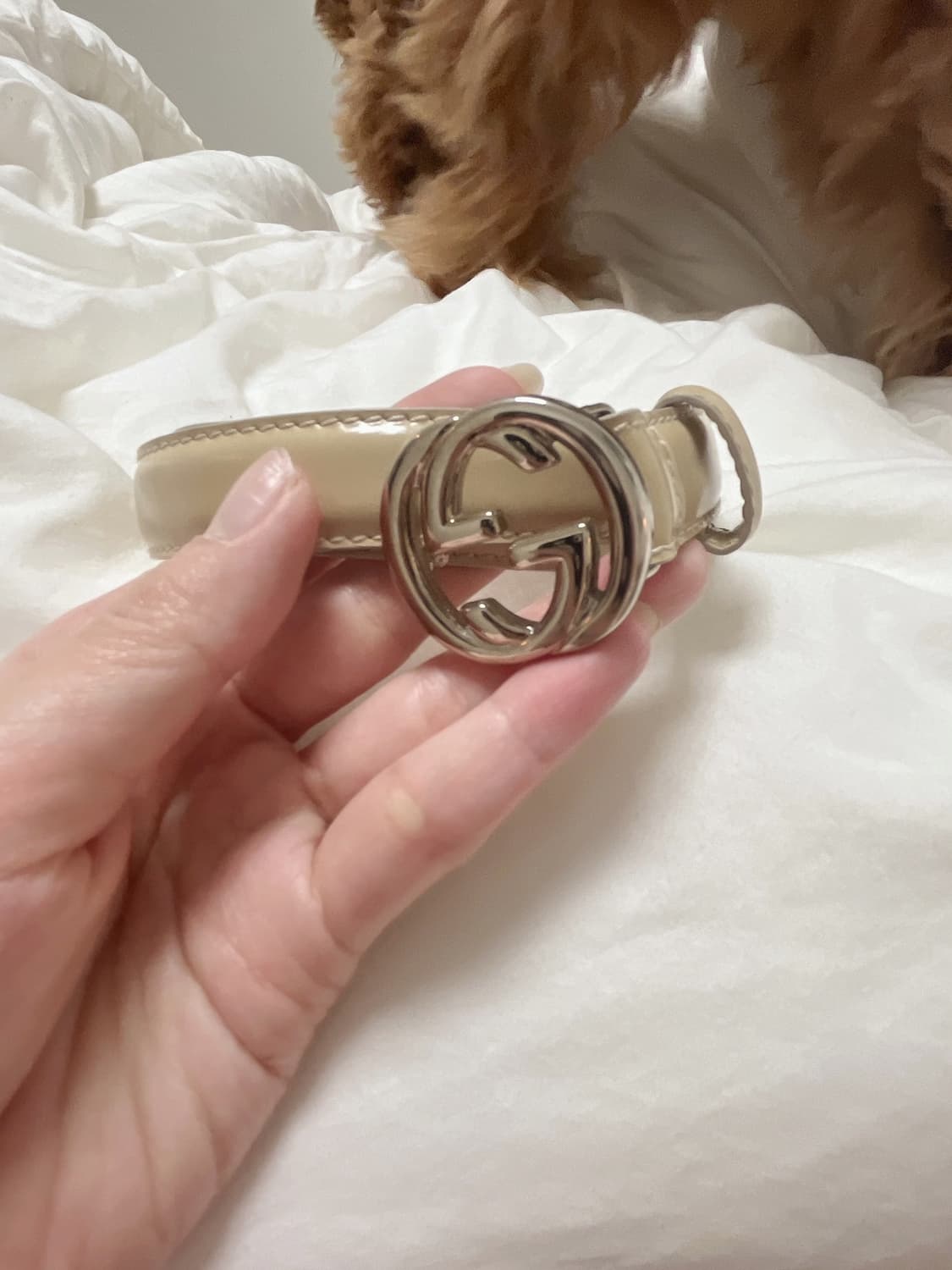 구찌벨트 팔아여 상품이미지1