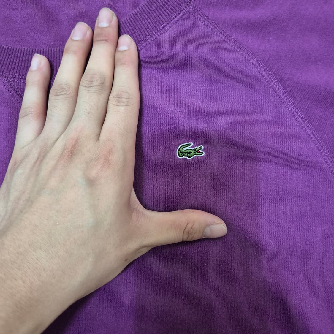 라코스테 여성 와펜 라운드 반팔티 상품이미지5