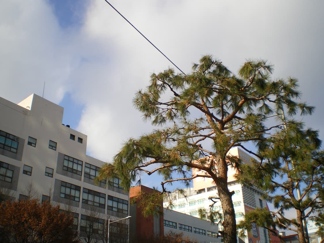 펜탁스 옵티오 PENTAX Optio L36 디카 상품이미지7