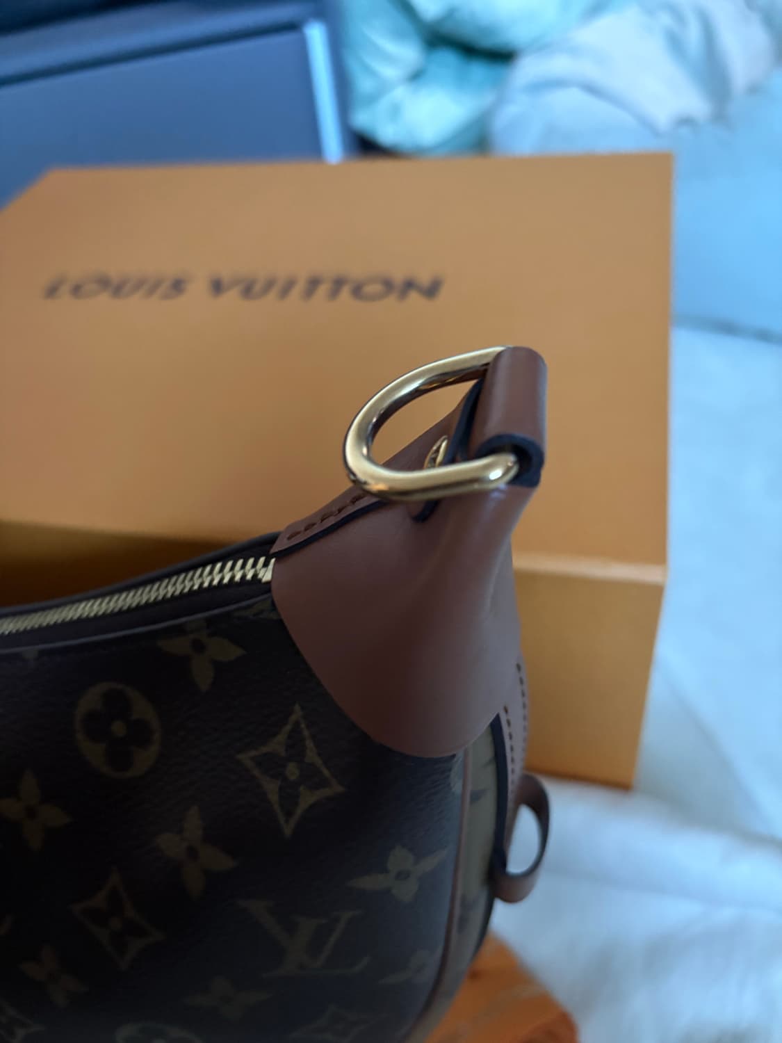 루이비통 루프 호보백 모노그램 M46311 상품이미지8