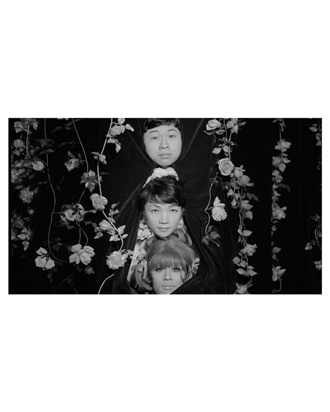 장미의 행렬 브로셔 상품이미지3