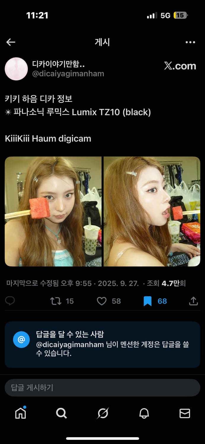 (키키 하음수이디카)Panasonic 파나소닉 Tz10 실버 상품이미지9