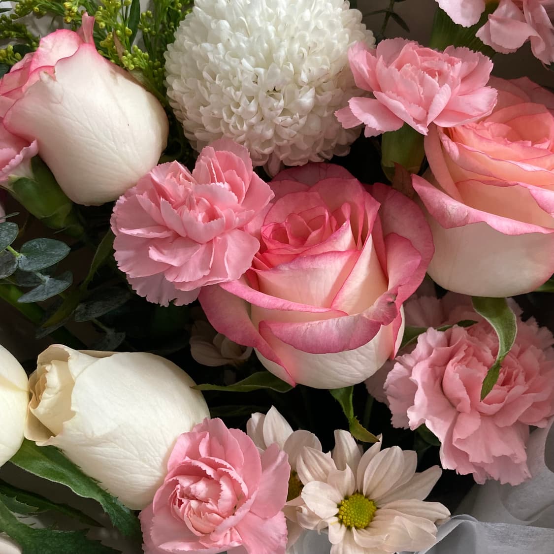 아이폰 5C 그린 16GB 상품이미지10