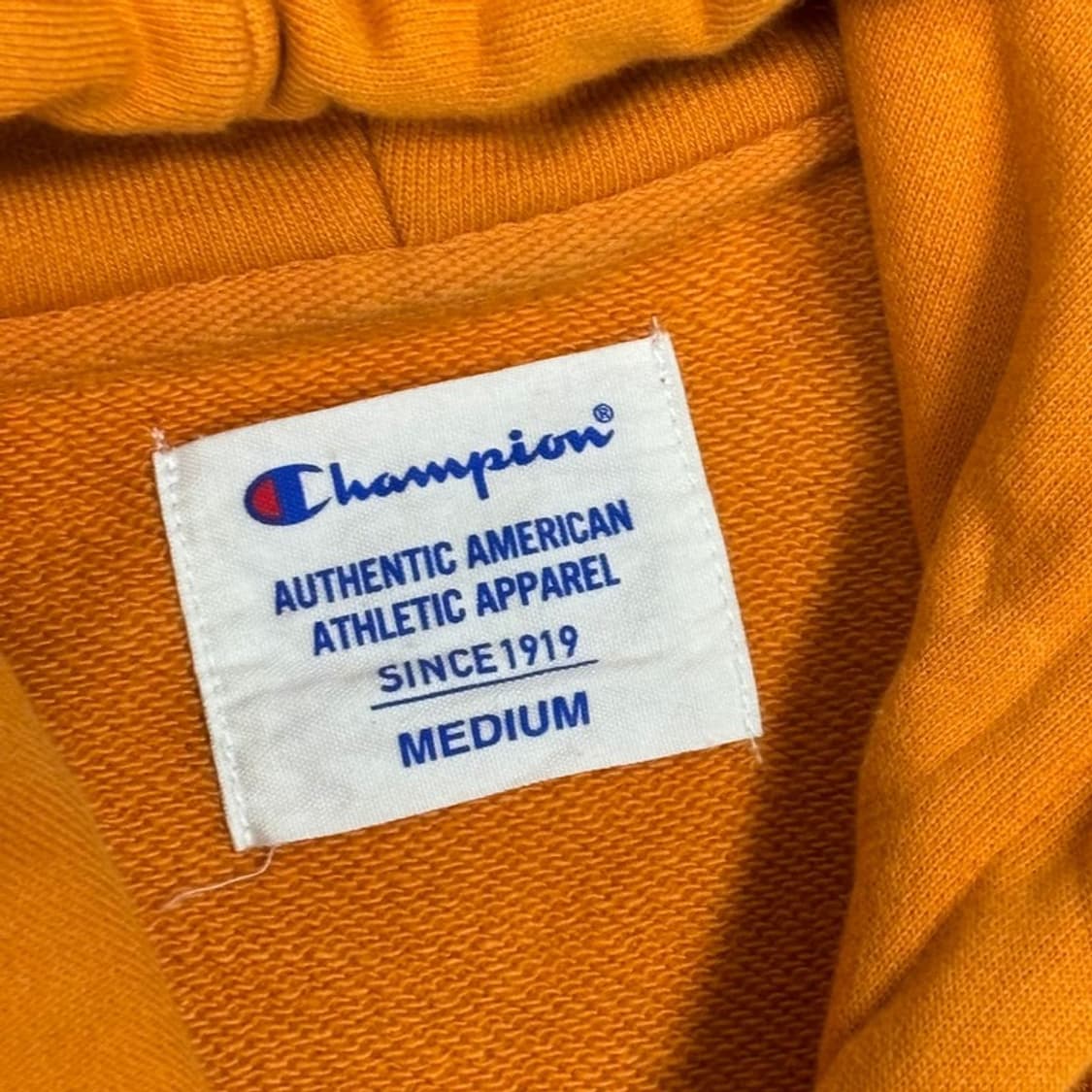 챔피온 베이직 후드티 v0289 상품이미지5