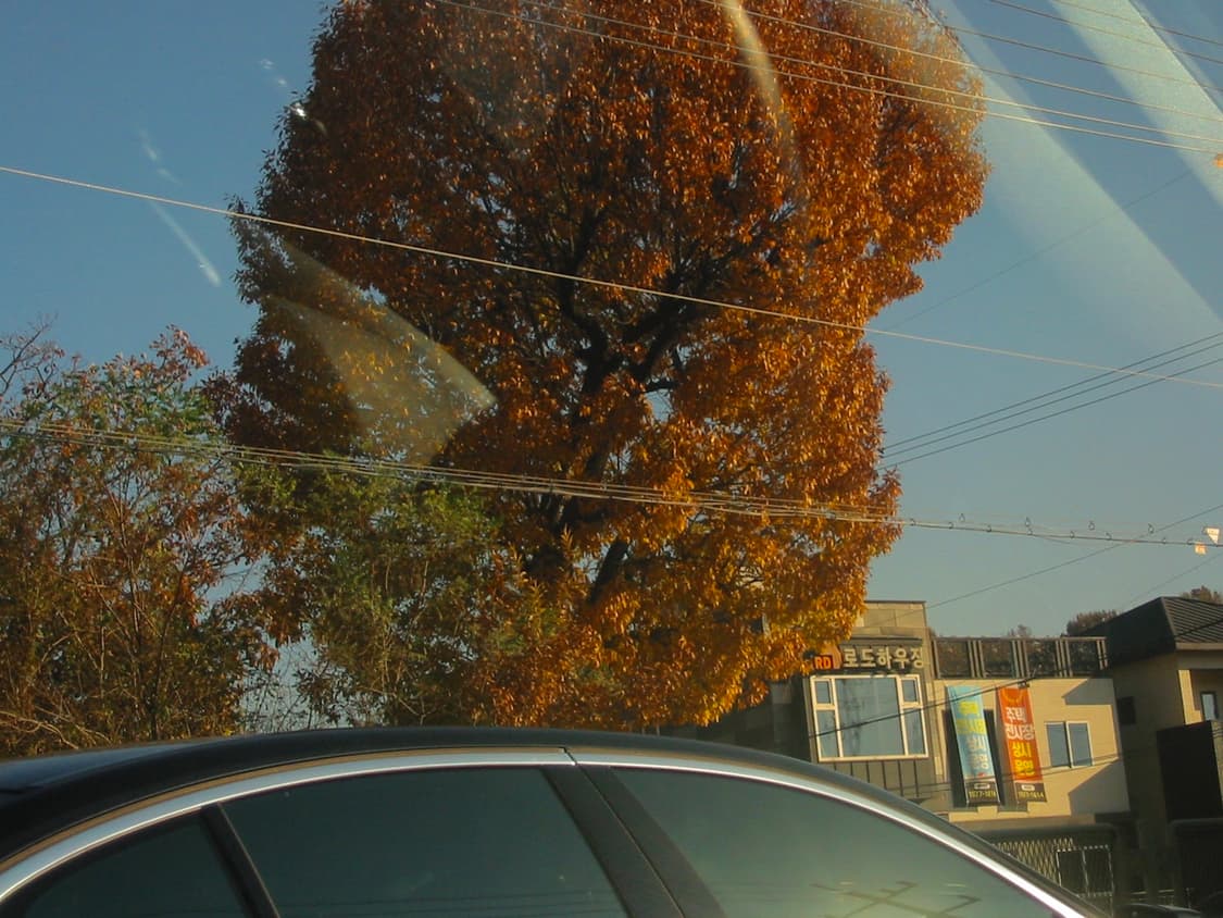 캐논 a20 빈티지 카메라 (작례 포함) 상품이미지7