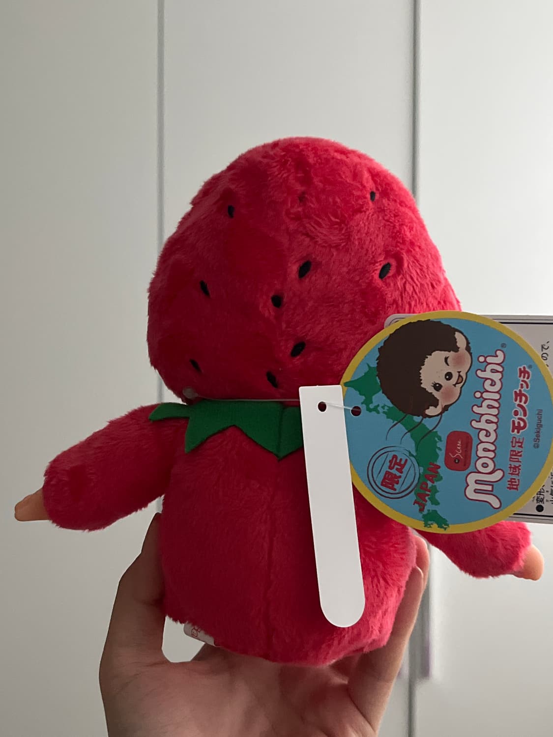 한정판 딸기 이치고 몬치치 인형 상품이미지2