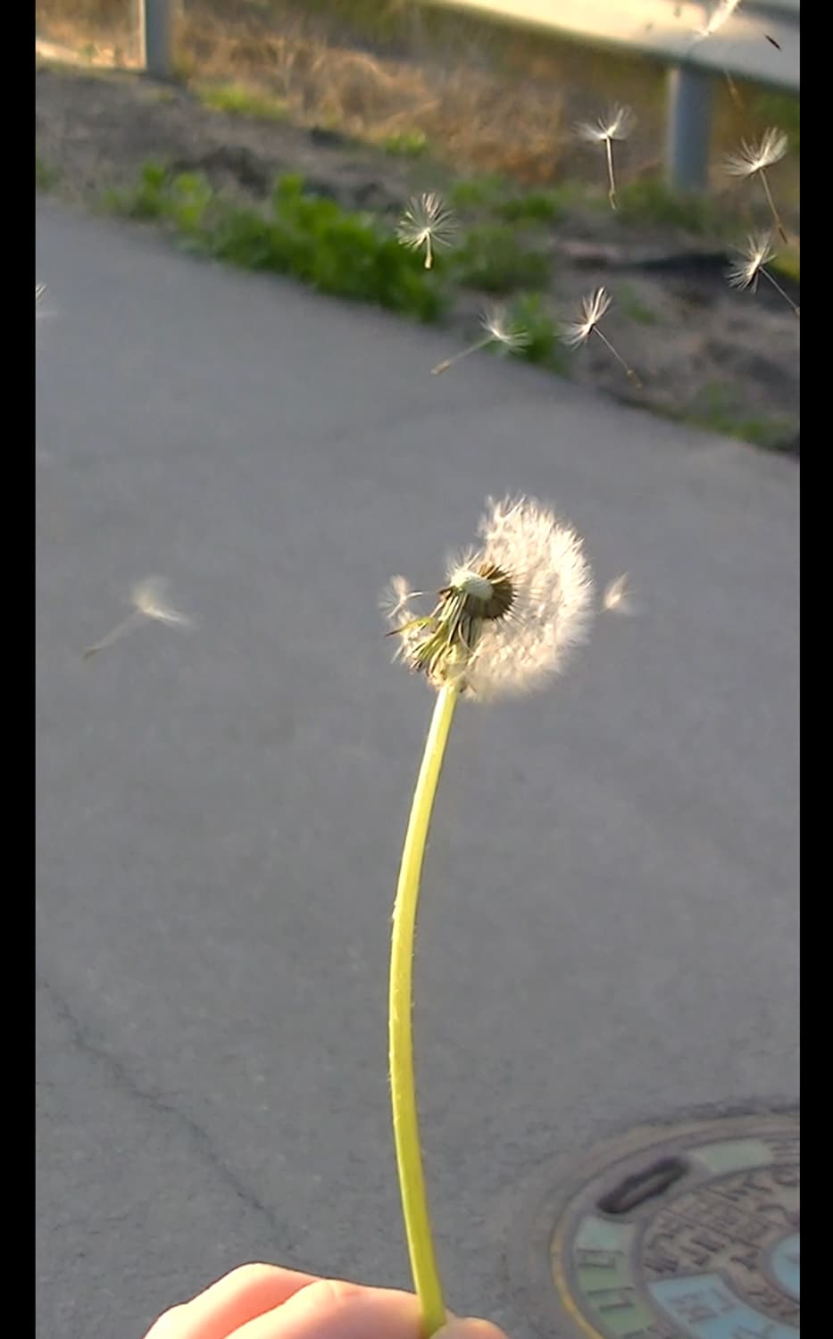 A급 빈티지 디카 카리나 캠코더 JVC EX250-S 본체만/작례 있음 상품이미지4