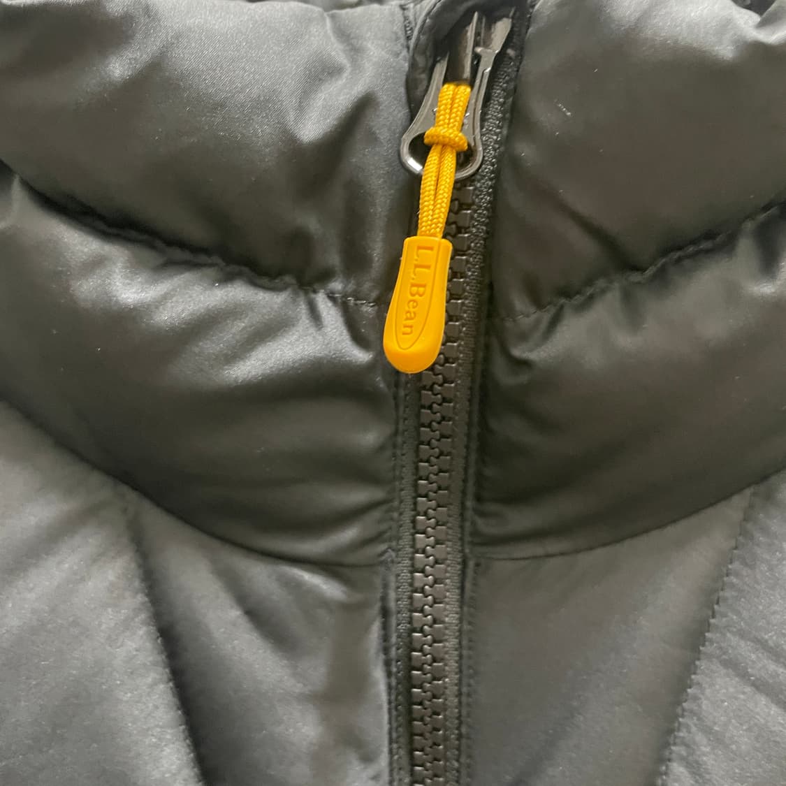 25FW LL Bean 650 필파워 다운 패딩 상품이미지3