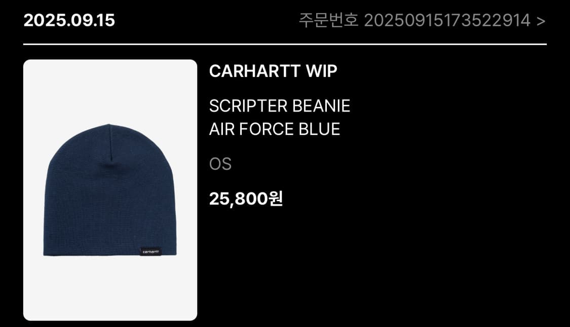 칼하트 비니 상품이미지3