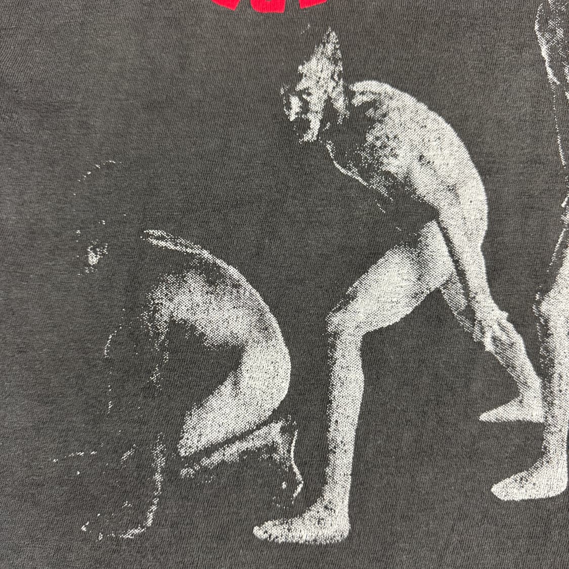 빈티지 90s 레드핫칠리페퍼스 티셔츠 RHCP Evolution Tee 상품이미지5