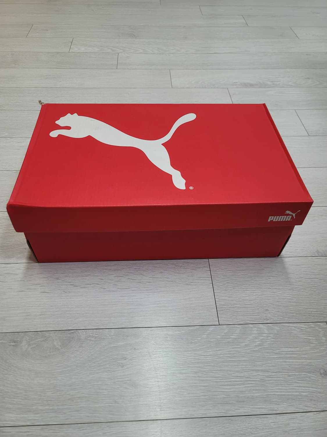 (280)푸마 풋살화 울트라 플레이 TT[대전 직거래도 가능] 상품이미지2