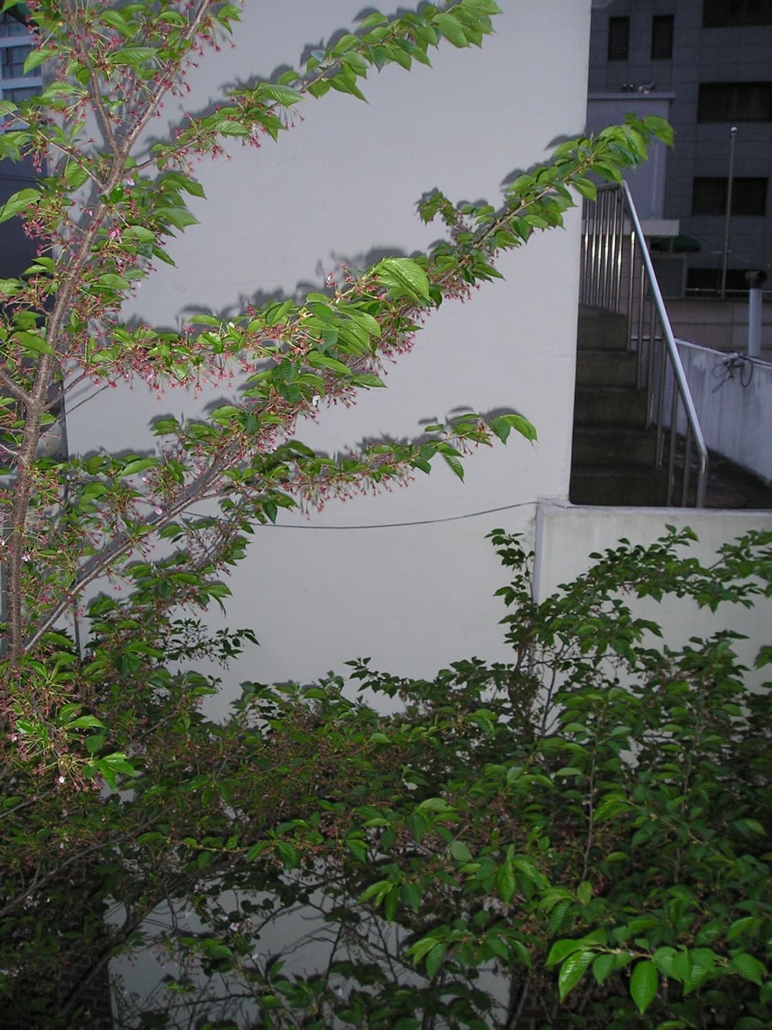 Olympus CAMEDIA C-350 디지털 카메라 상품이미지9