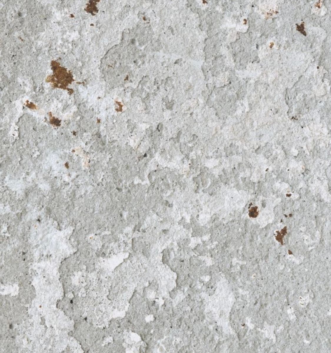 GRAY 구매) monoprive 모노프리베 롱슬리브 2 상품이미지1