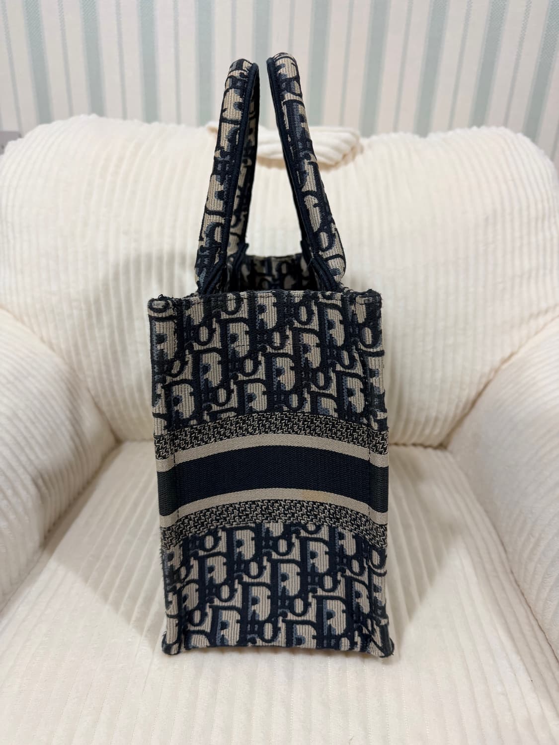 디올 오블리크 북토트 스몰 상품이미지3