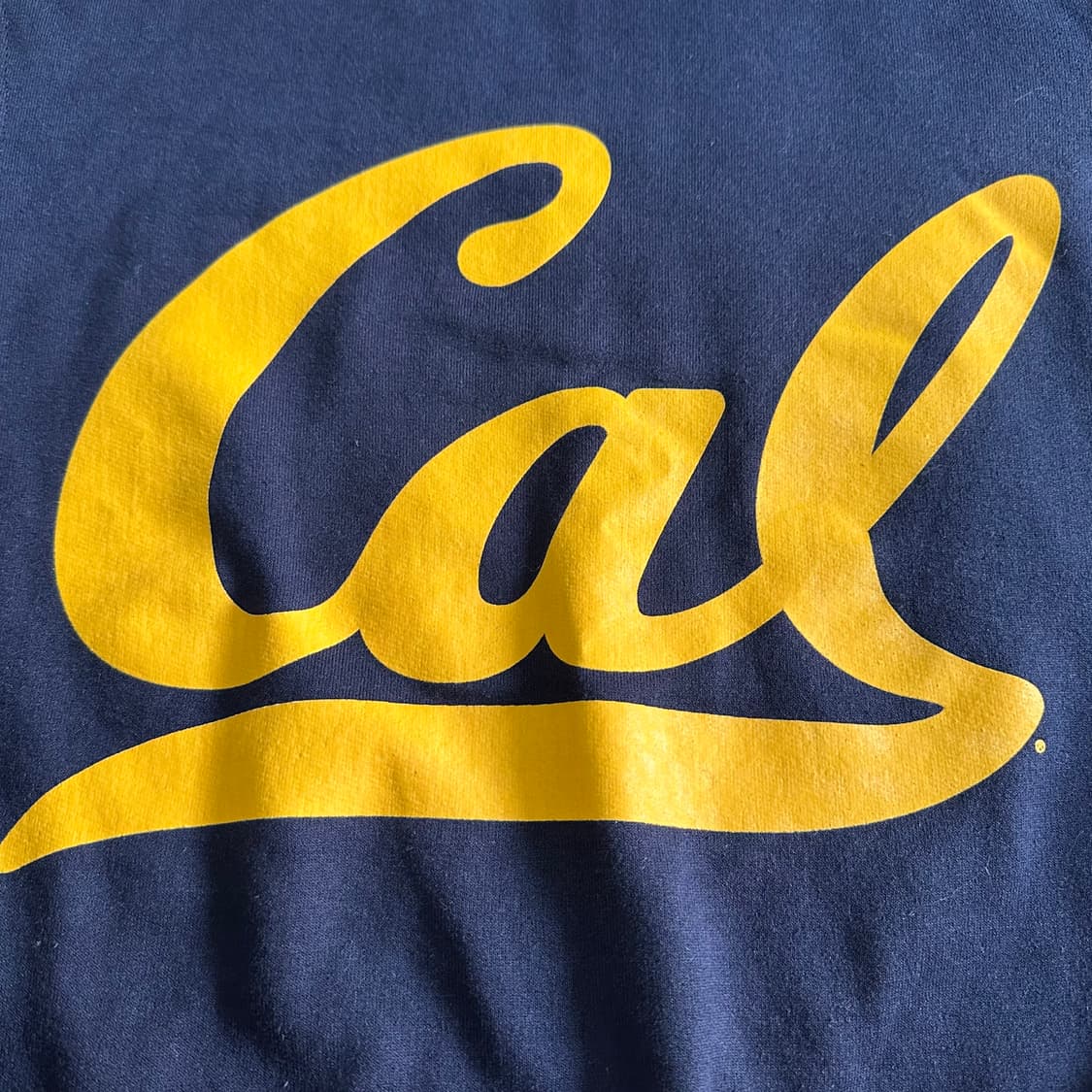 챔피온 캘리포니아 맨투맨XS 상품이미지5