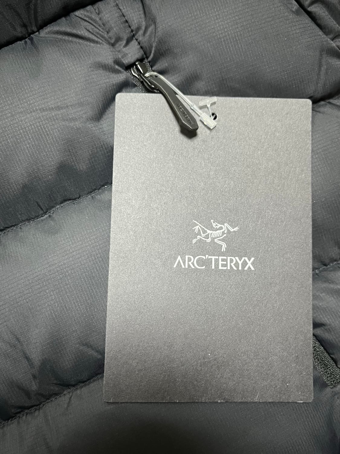 아크테릭스 토륨 후디 L 상품이미지2