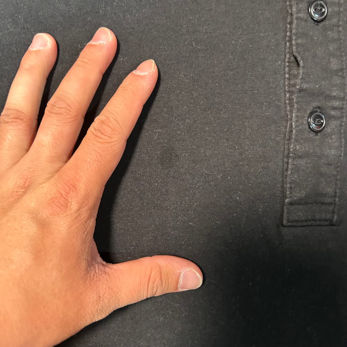 [L] 퍼플 앤 옐로우 백로고 카라 반팔 상품이미지3