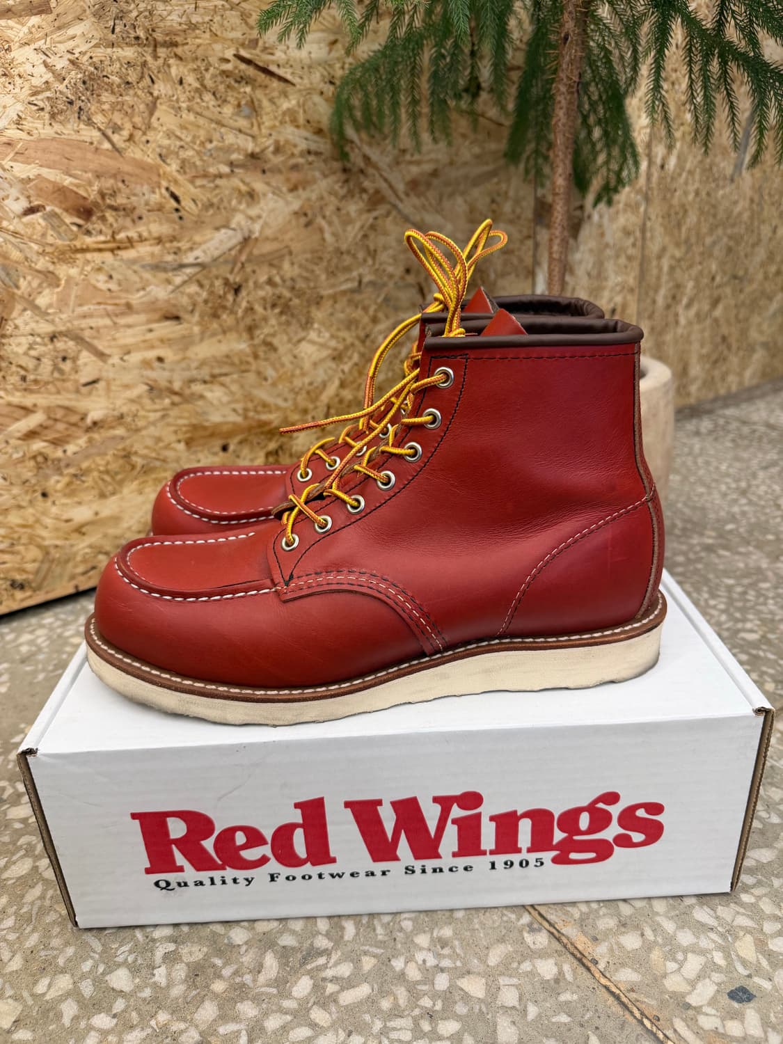 레드윙 아이리쉬 세터 8875 9E 상품이미지2