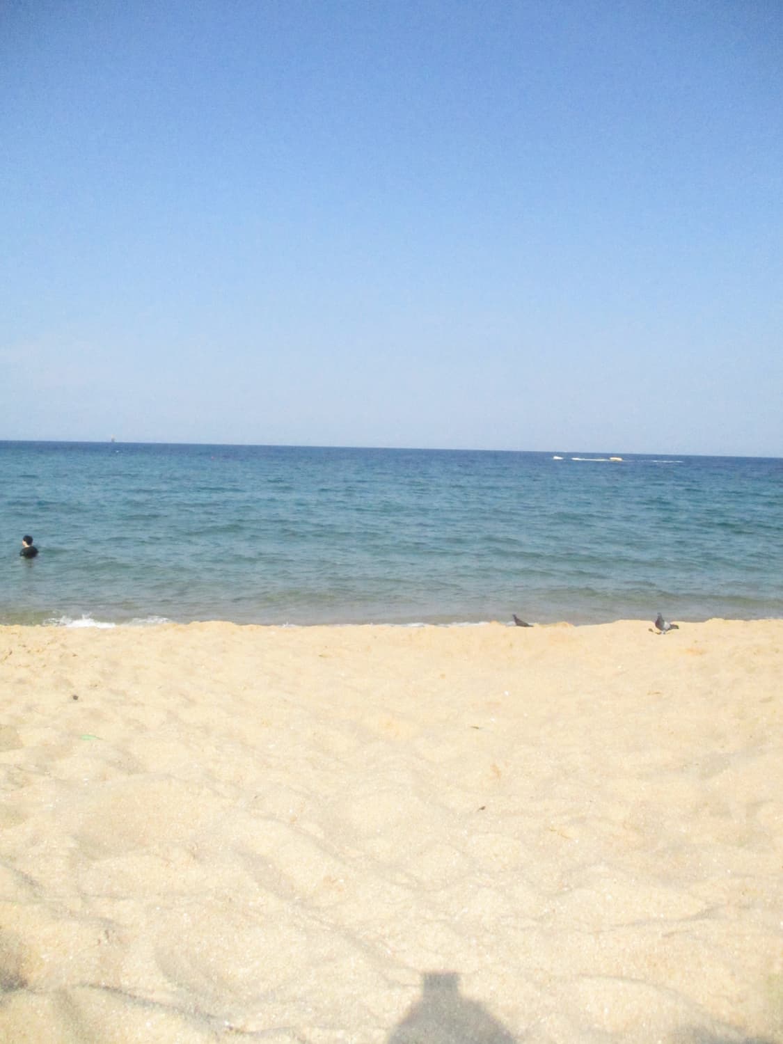 캐논 익서스 ixus 185 디지털 카메라 상품이미지2