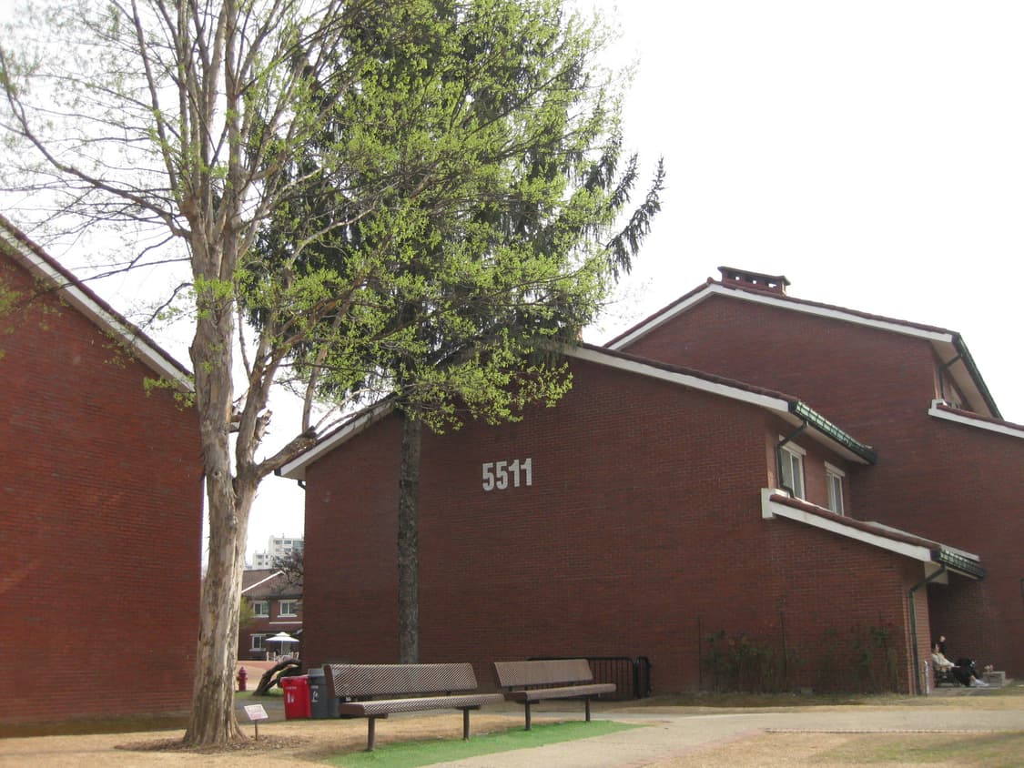 [풀박스/A급] 캐논 익시 Canon IXY 25is 상품이미지4