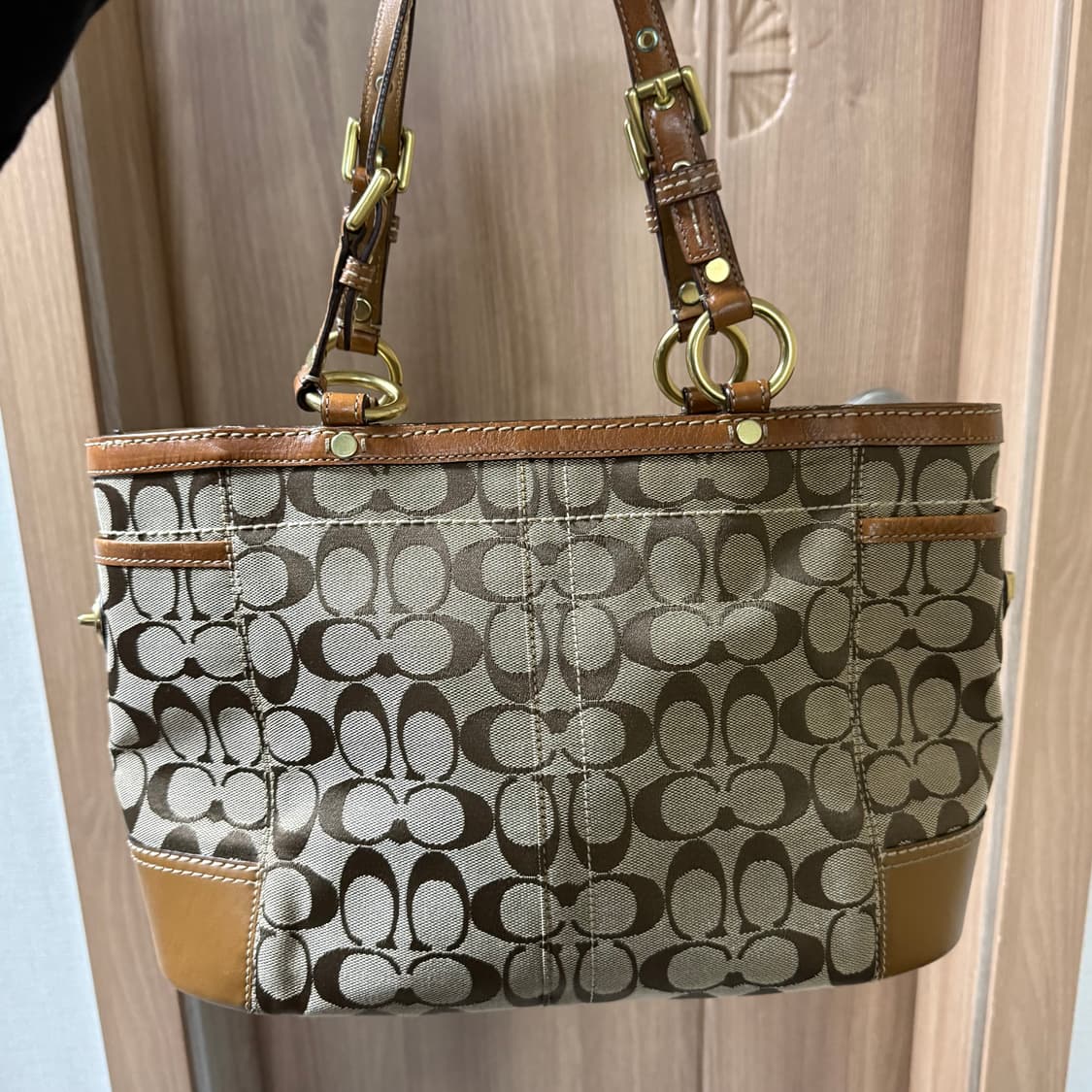 Coach 코치 시그니처 토트백 상품이미지4