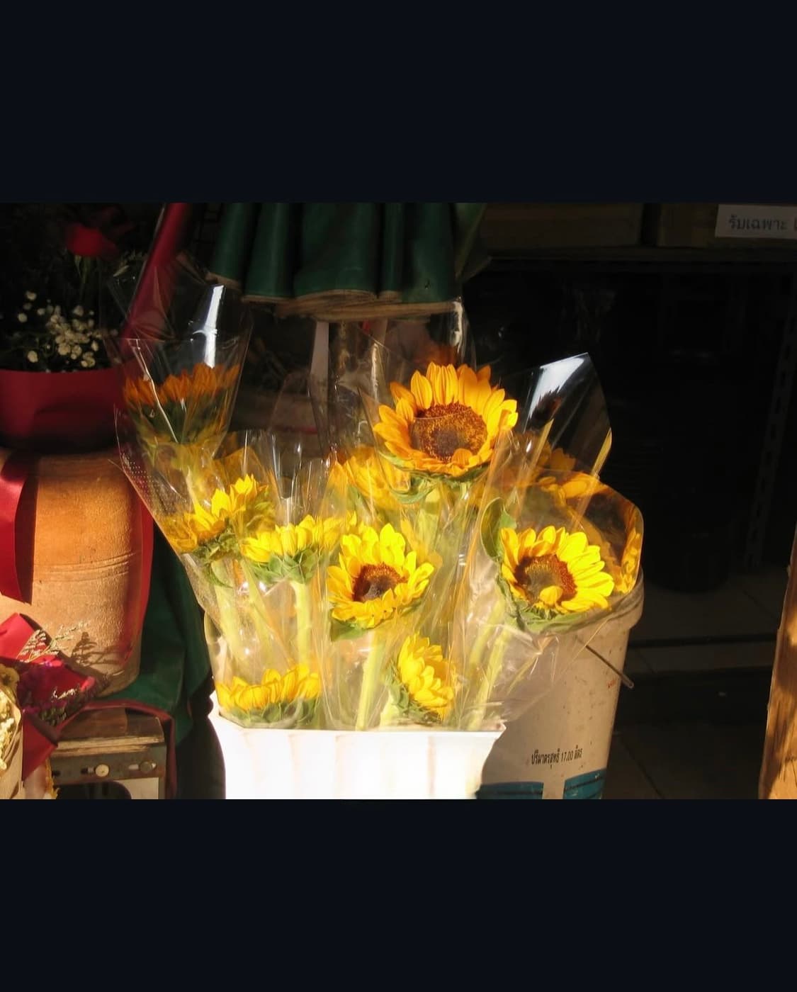 캐논 파워샷 s400 디지털카메라 상품이미지8