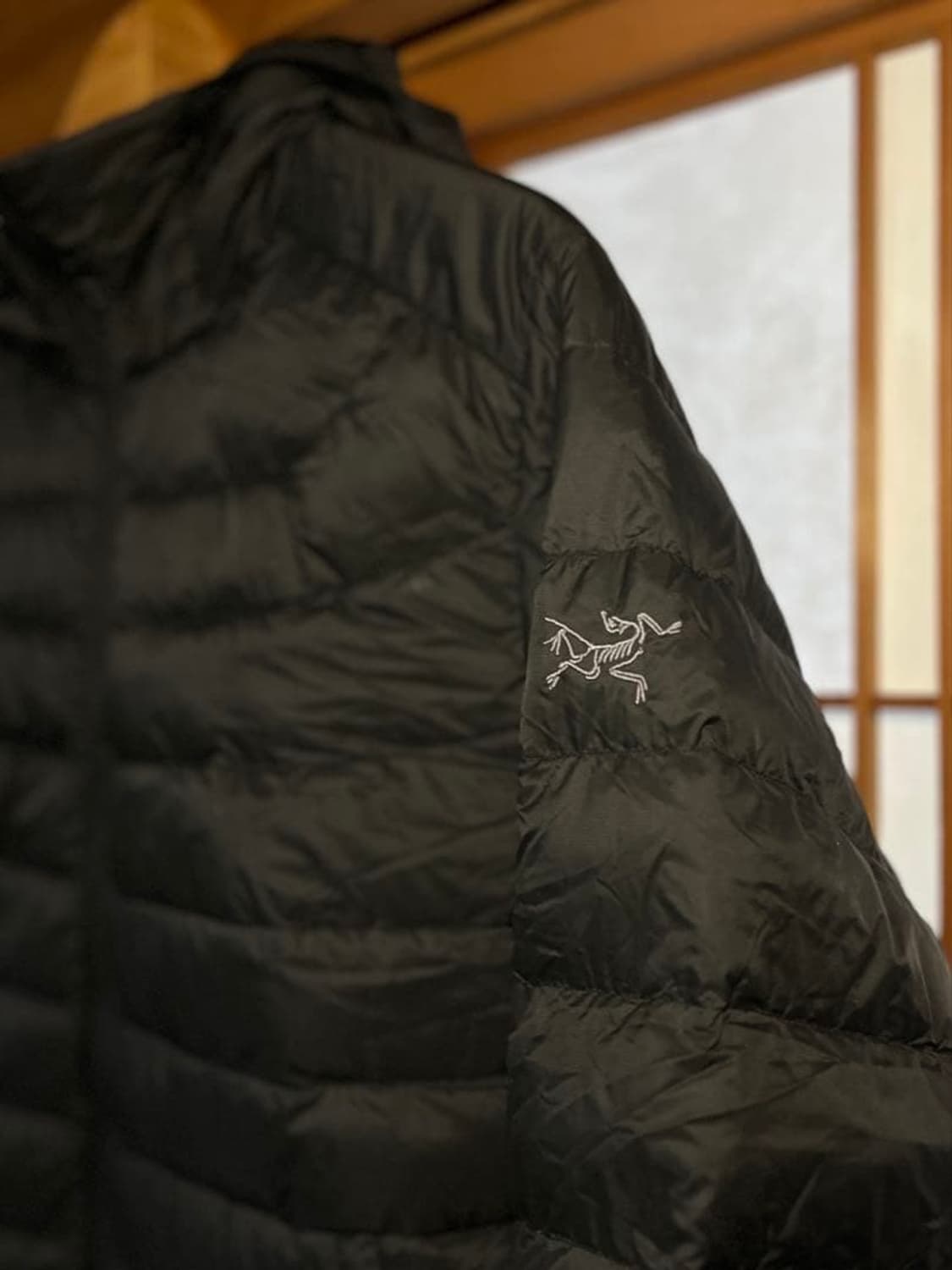 (L) 아크테릭스 세륨 후디자켓 우먼스 상품이미지3