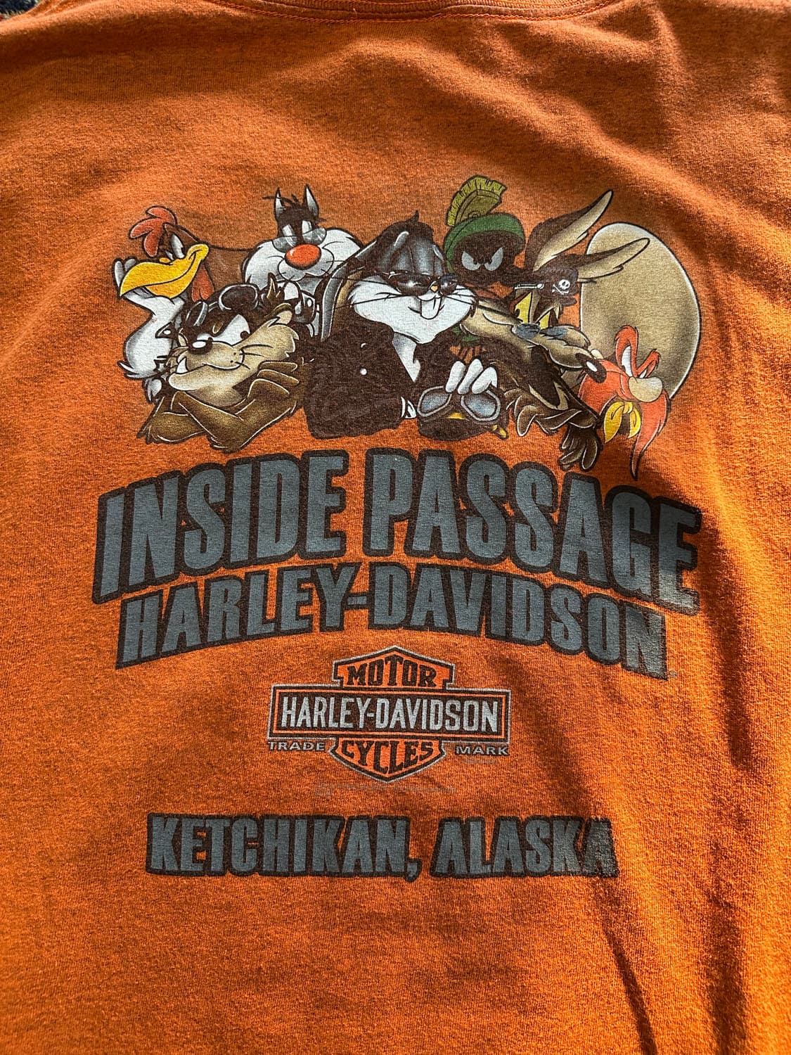 할리데이비슨 x 루니툰 '로드러너' 알래스카 케치칸 - 3XL 상품이미지7