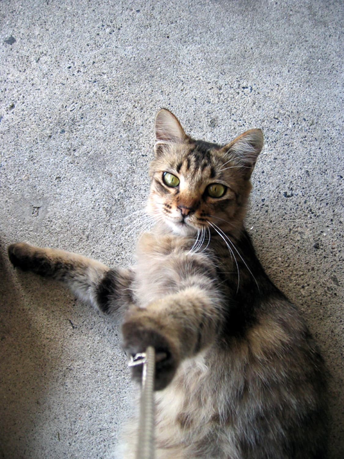 초미품 풀박 🎀캐논 IXY 400 익시400 ✨ 클래식 감성 상품이미지9