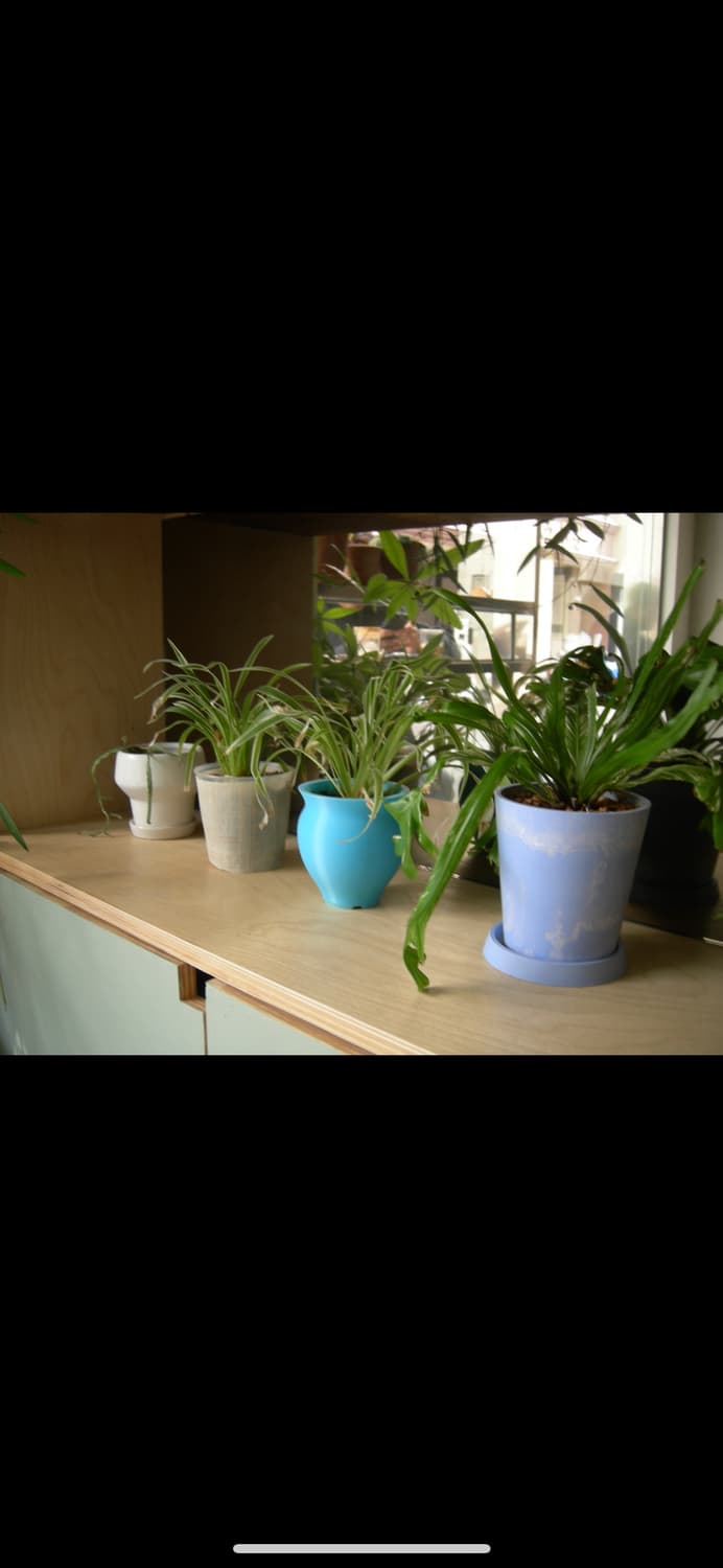 니콘 쿨픽스 p2 디카 (작례 있어요!) 상품이미지5