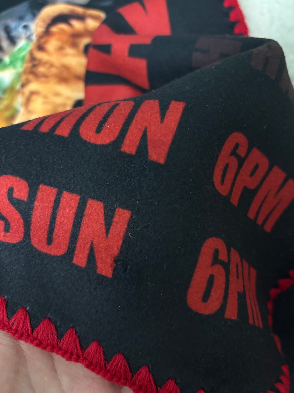 검정치마 201 담요 md 상품이미지4