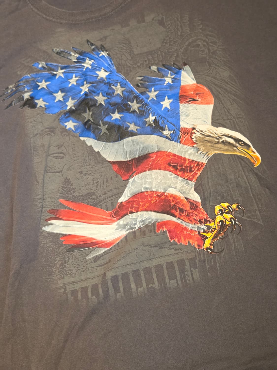 아메리칸 이글 프린팅 티셔츠 상품이미지3