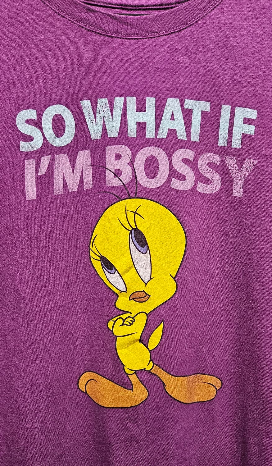 Looney Tunes - Tweety 상품이미지4