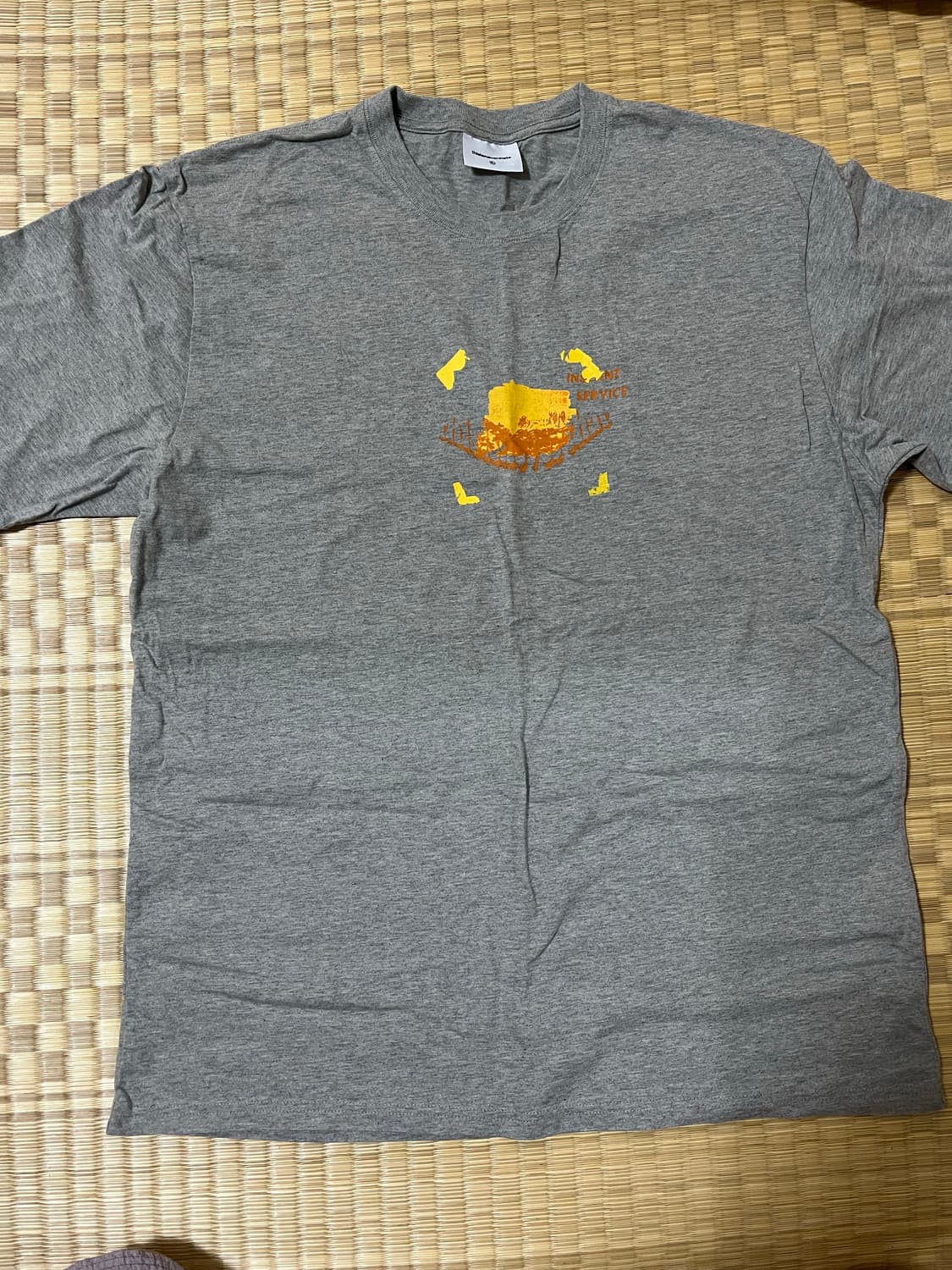 [xl] 디스이즈네버댓 25ss snowflow 반팔 상품이미지2