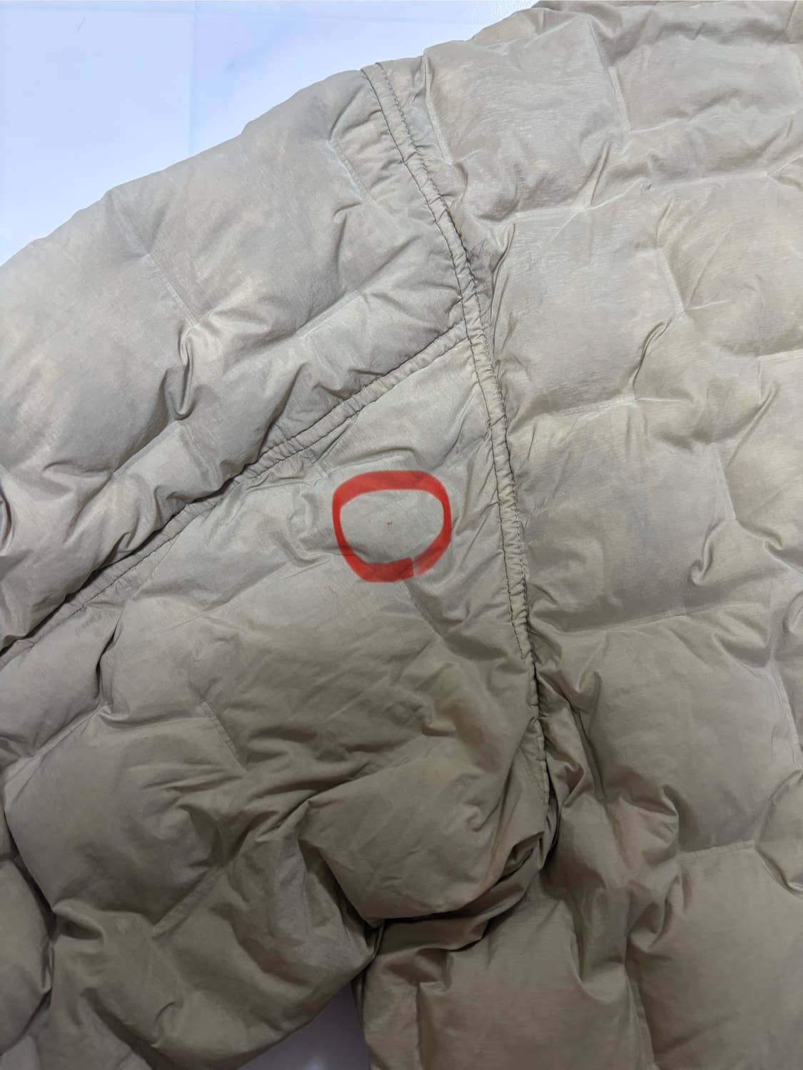 palace 22fw 퍼텍스 워크 다운 상품이미지6