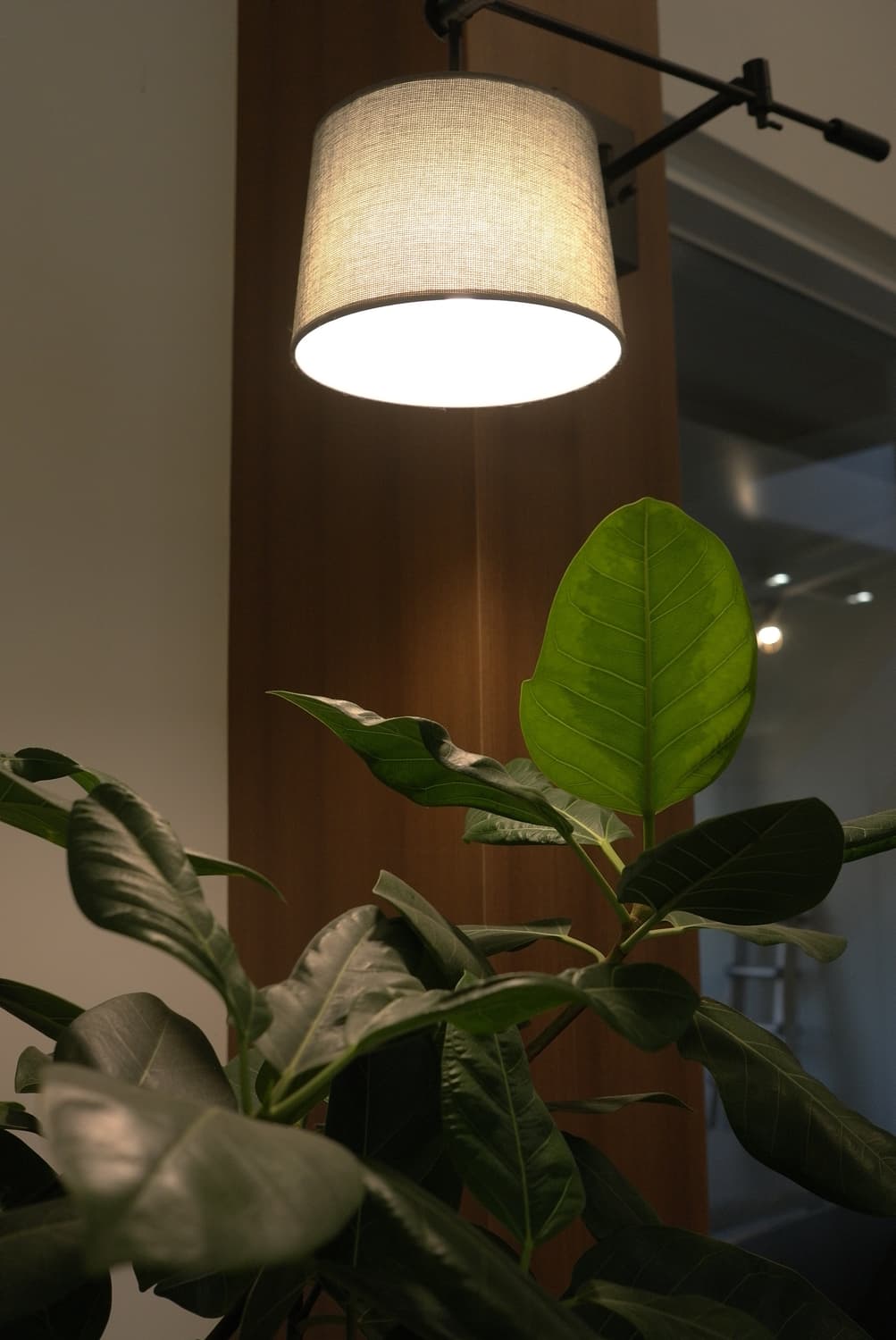 라이카&딸기우유!) Leica x Panasonic FX01 디카 상품이미지4