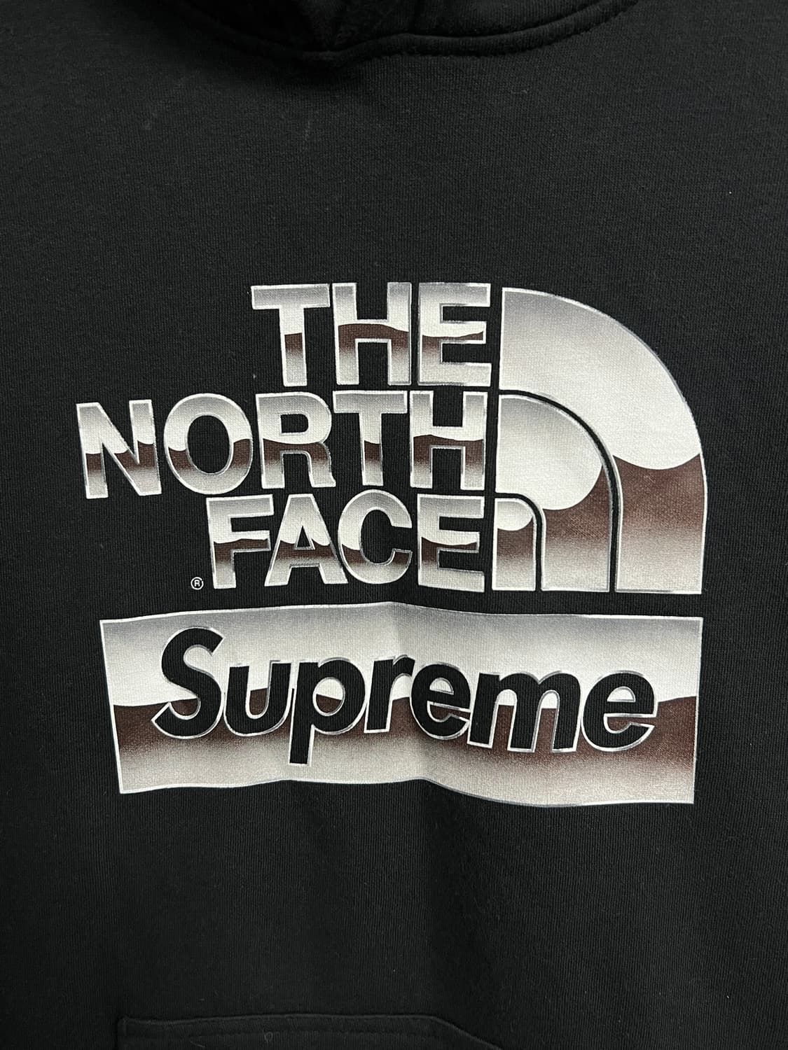 18ss Supreme 슈프림 노스페이스 메탈릭 로고 풀오버 후드티 상품이미지3