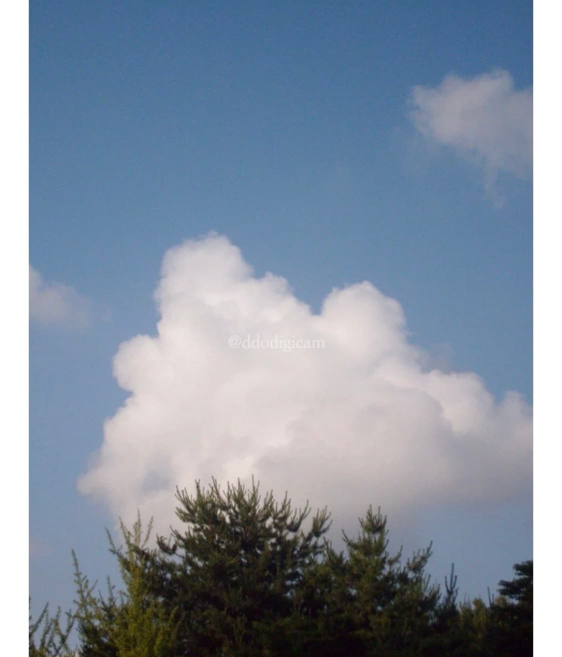 [희귀매물] 삼성 Kenox 케녹스 S730 디카(작례o) 상품이미지6