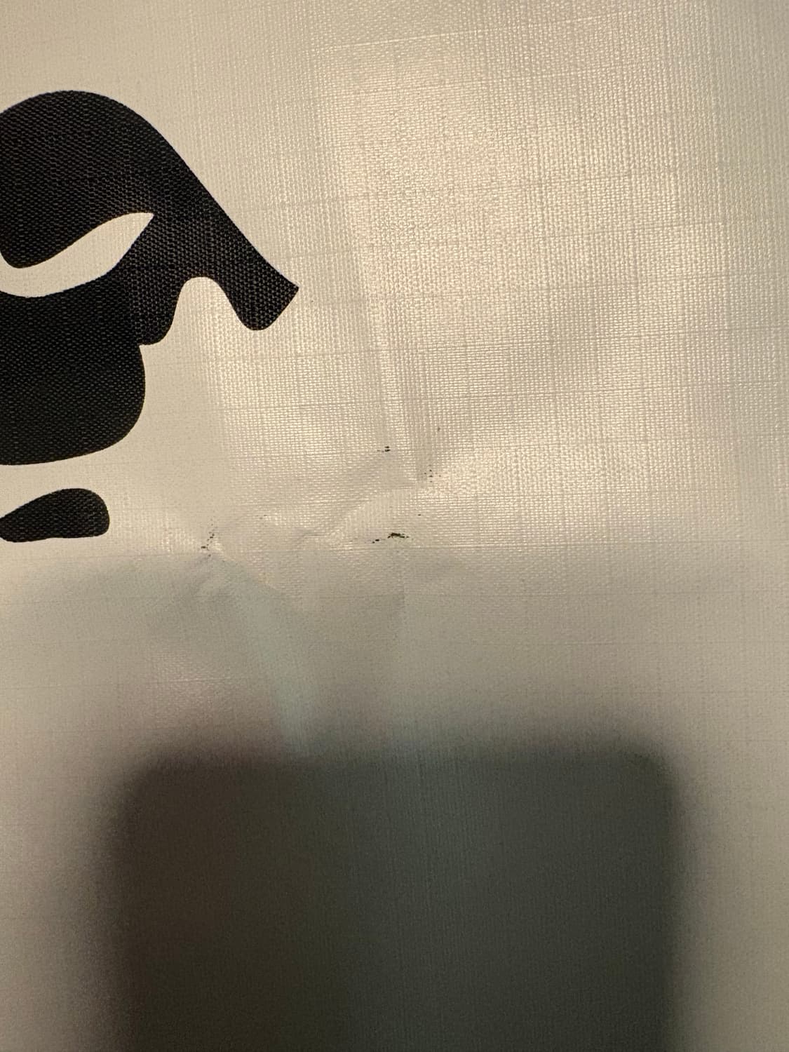 베이프 부록 백팩 상품이미지2