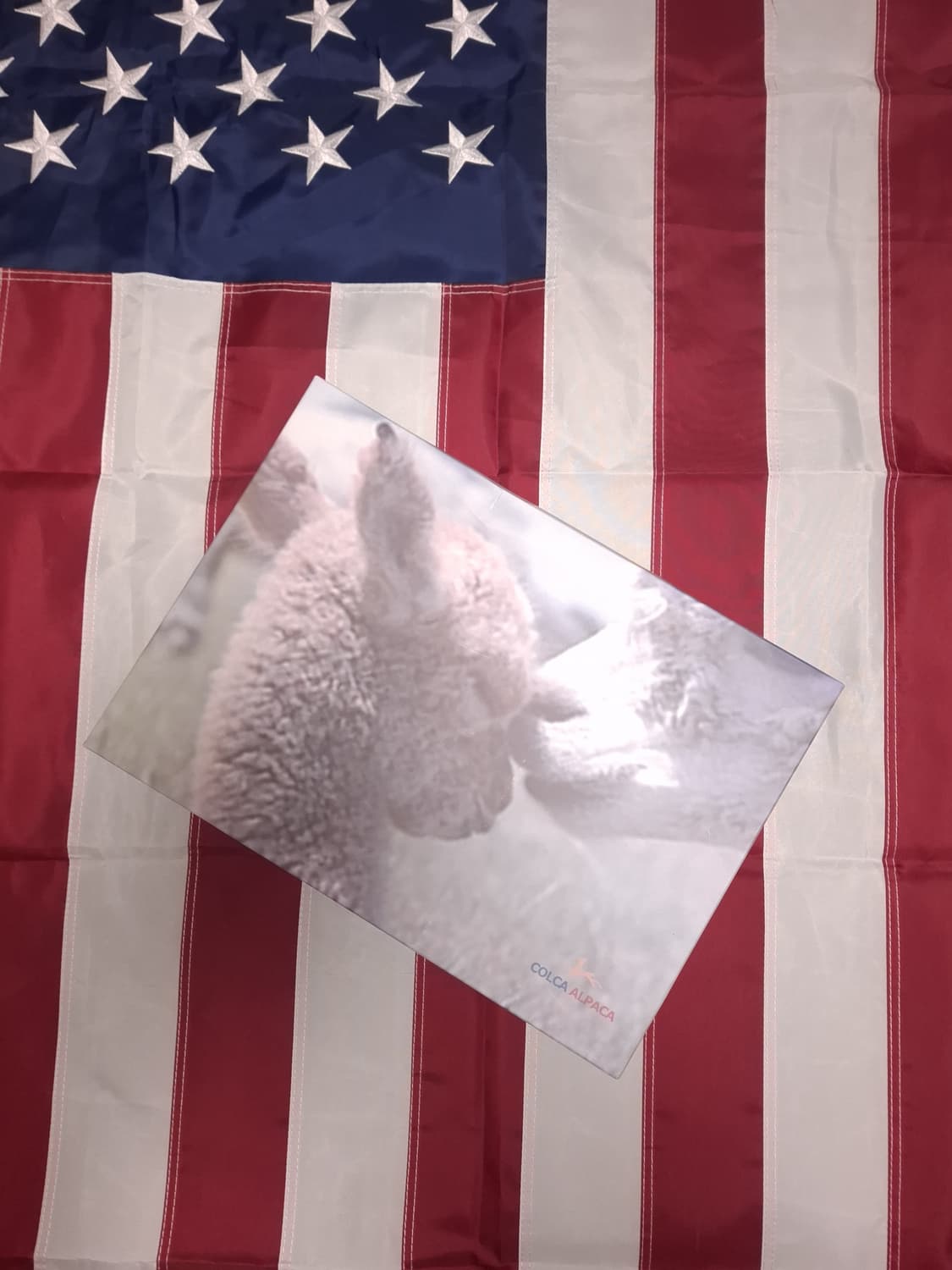 박스 택 새제품 100% 베이비 알파카 머플러 상품이미지6