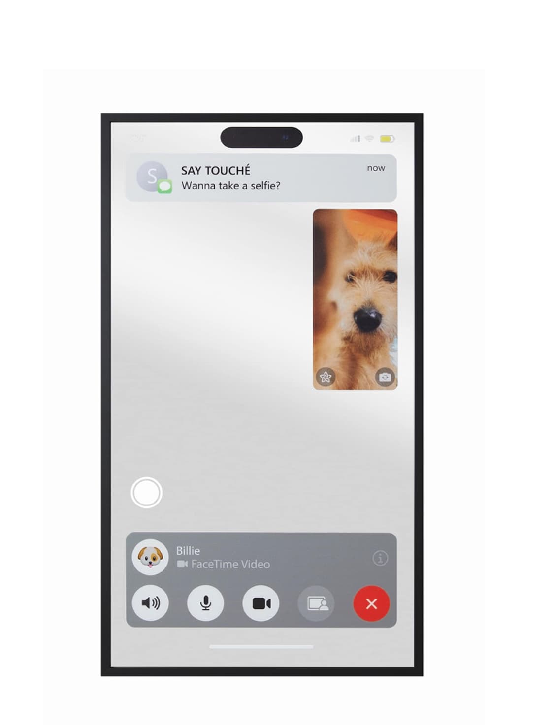 세이투셰 페이스타임 미러 상품이미지1