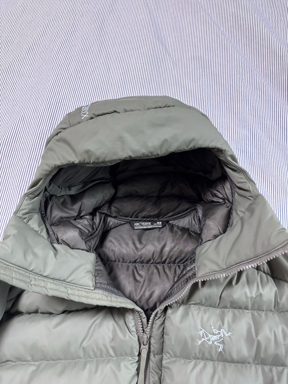 아크테릭스 토륨 후디 포리지 상품이미지4