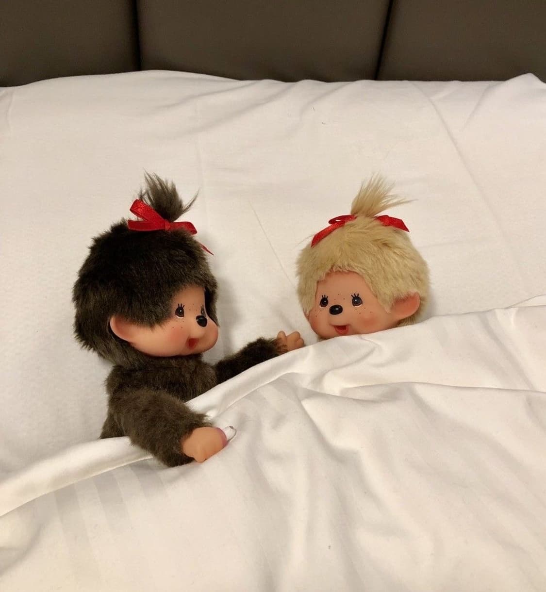 2개 결제창 상품이미지1