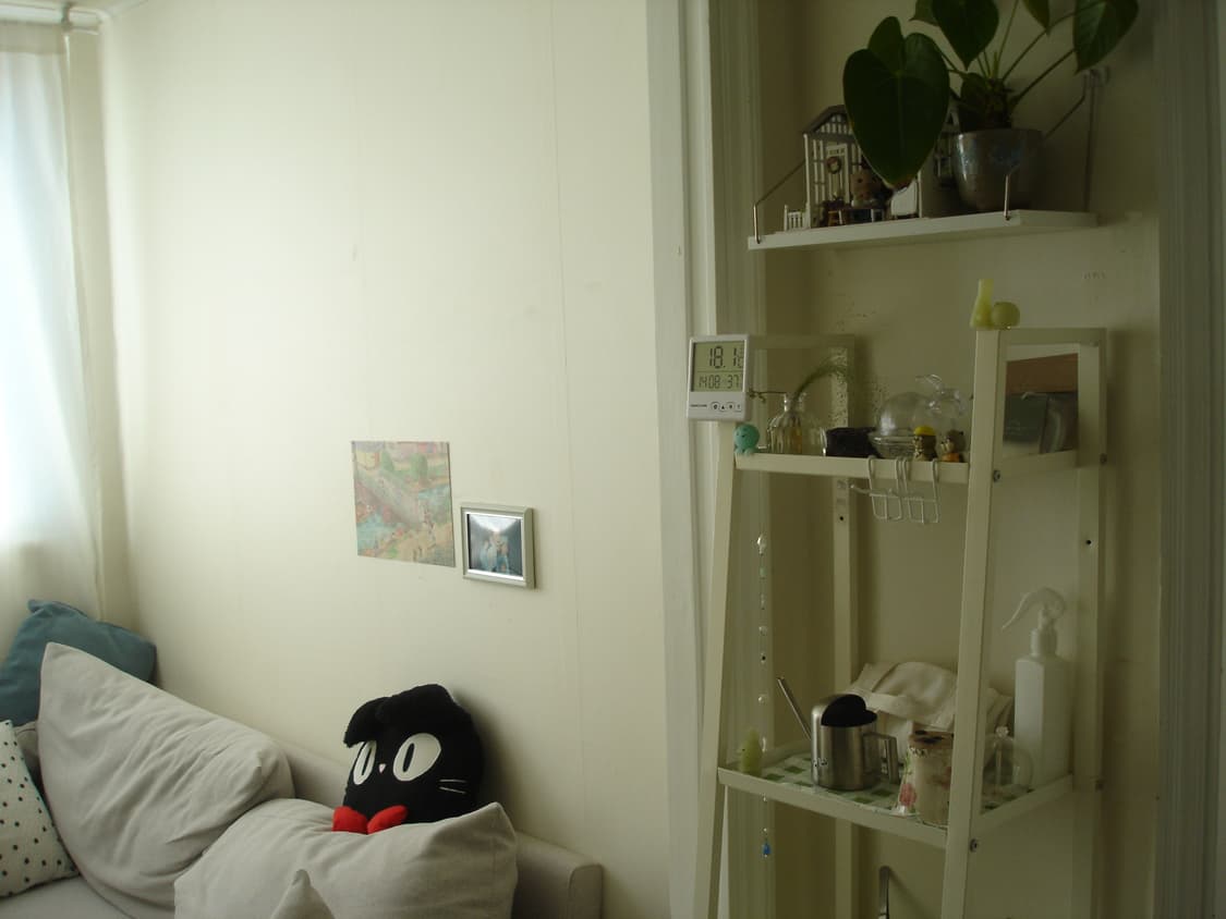 소니 사이버샷 dsc p100 실버 디카 상품이미지10