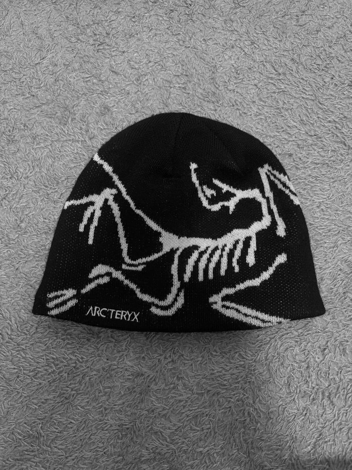 아크테릭스 버드 헤드 토크 오르카 비니 상품이미지1