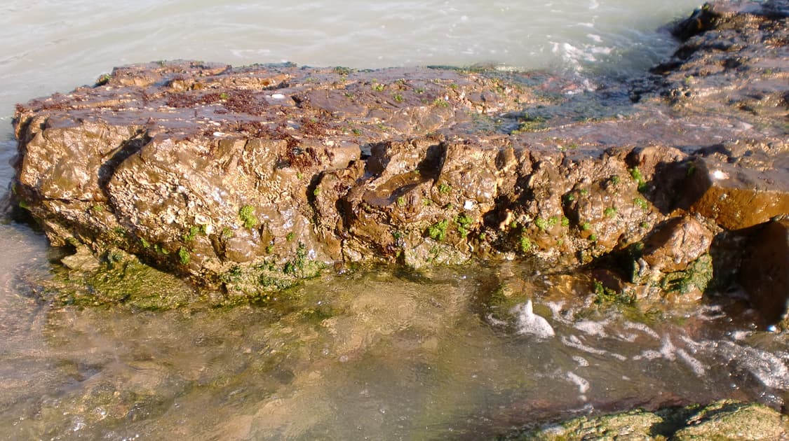 작례O)카시오 Casio 엑슬림 Ex-z90 빈티지 디지털 카메라 상품이미지8