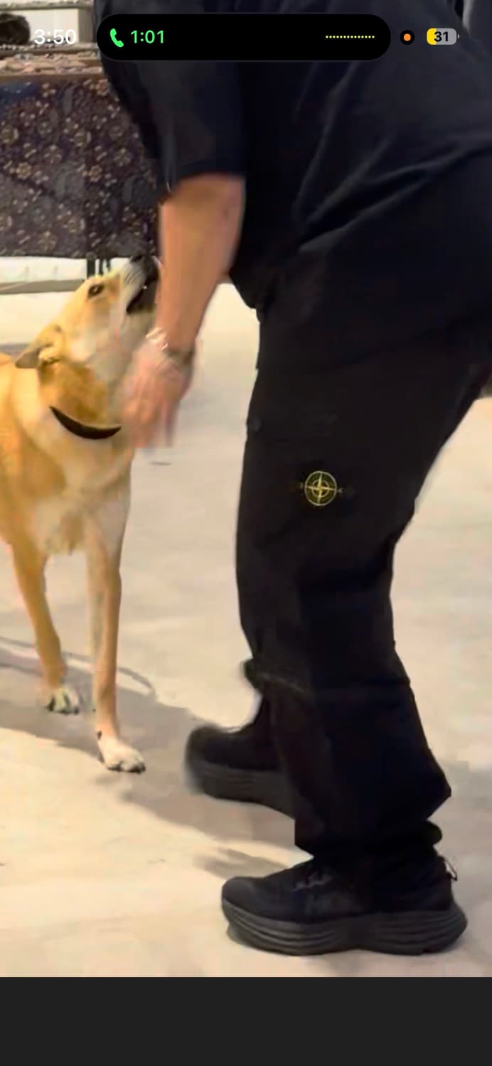 정품qr 강남매장 스톤아일랜드 바지  표기 32 상품이미지10