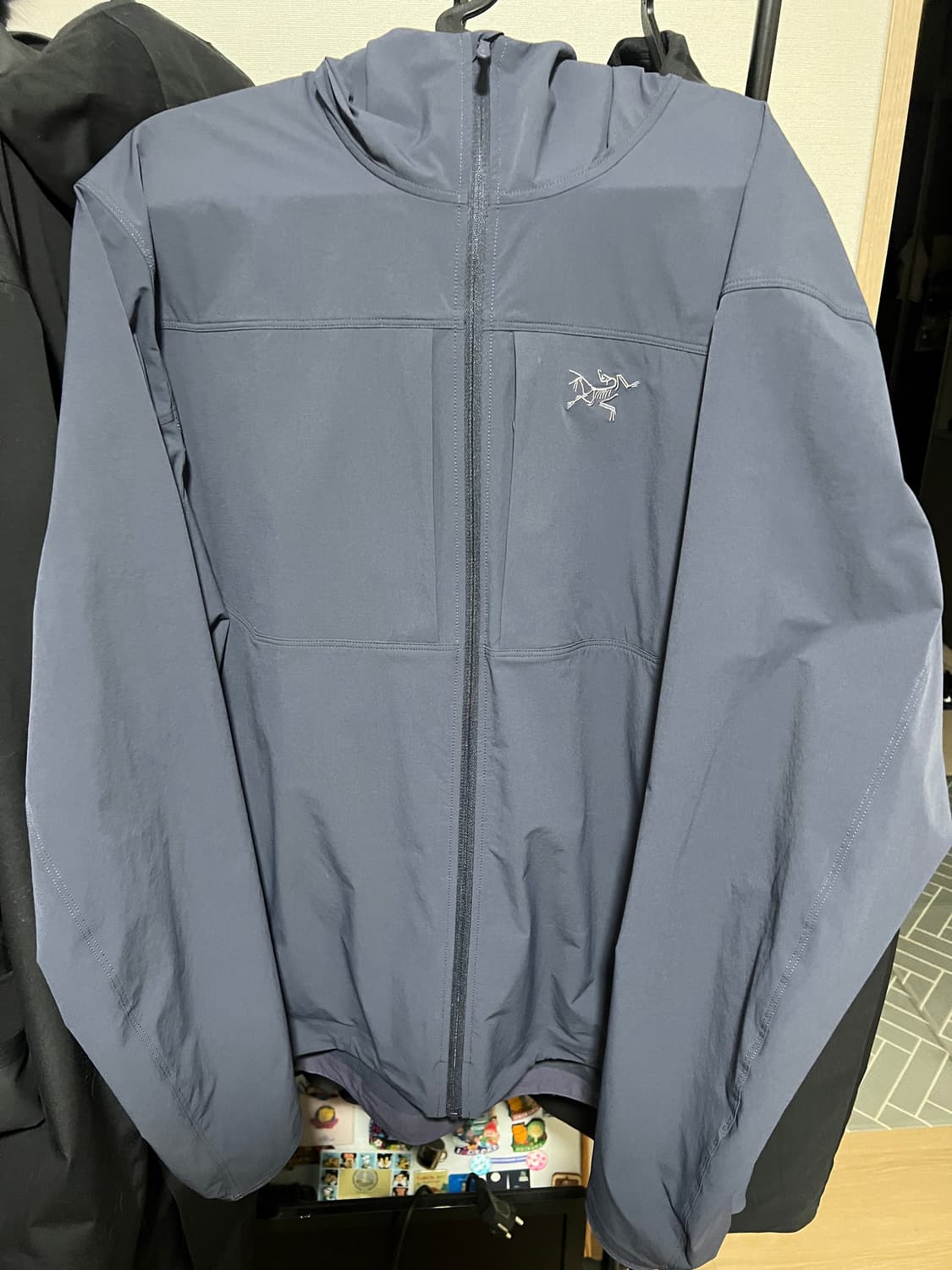 아크테릭스 감마라이트웨이트 후디 상품이미지2